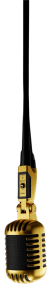 Mic Mic